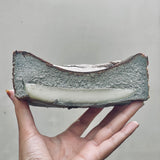 limited special - sesame mochi basque cheesecake